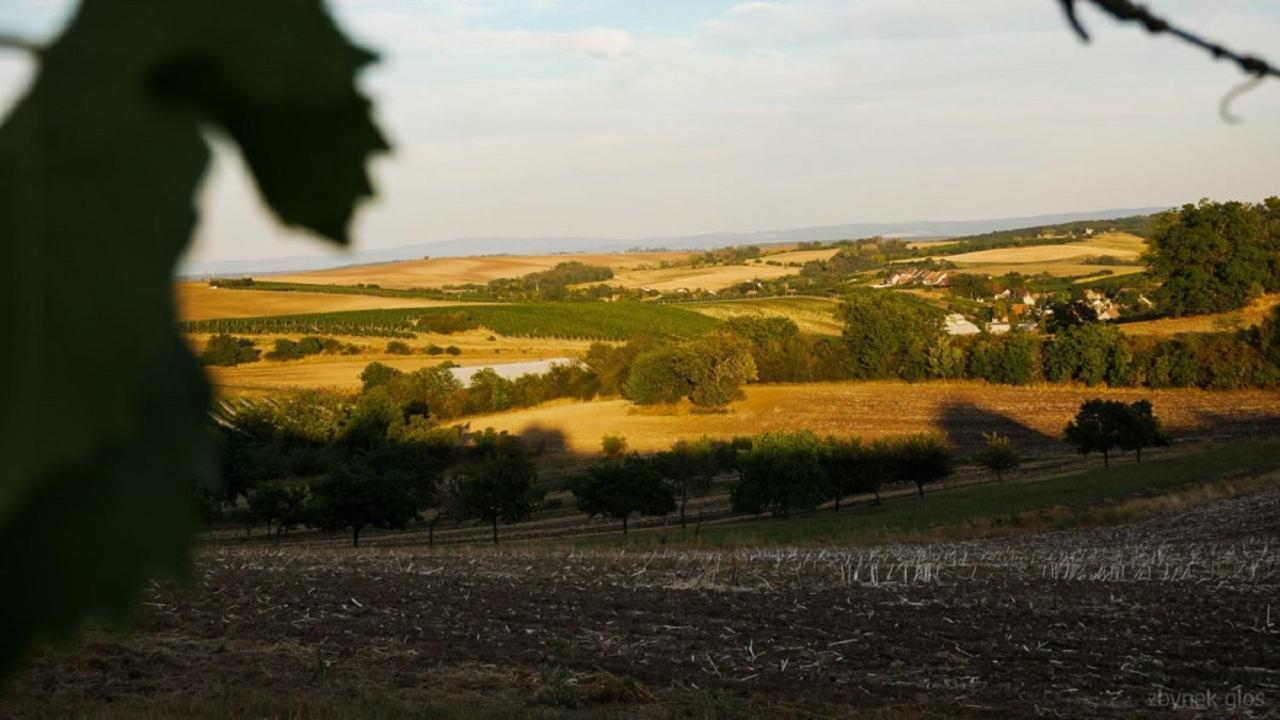 Ubytovani V Hovoranech Hovorany Esterno foto